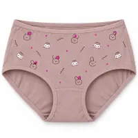 Women’s Cartoon Print Full Coverage Stretch Briefs photo 1