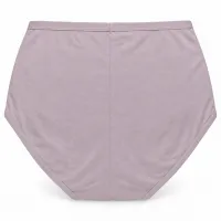 Women’s High Waist Full Coverage Stretch Briefs with Striped Waistband photo 2