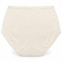 Women’s High Waist Full Coverage Stretch Briefs with Striped Waistband photo 2