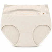 Women’s High Waist Full Coverage Stretch Briefs with Striped Waistband photo 1