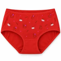 Women’s Cartoon Print Full Coverage Stretch Briefs photo 2