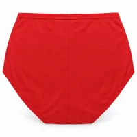 Women’s High Waist Full Coverage Stretch Briefs with Striped Waistband photo 2