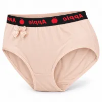 Women’s Full Coverage Stretch Briefs with Printed Waistband and Bow photo 1