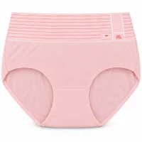 Women’s High Waist Full Coverage Stretch Briefs with Striped Waistband photo 2