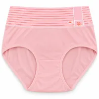 Women’s High Waist Full Coverage Stretch Briefs with Striped Waistband photo 5
