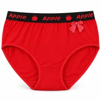 Women’s Full Coverage Stretch Briefs with Printed Waistband and Bow photo 1