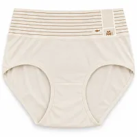 Women’s High Waist Full Coverage Stretch Briefs with Striped Waistband photo 4