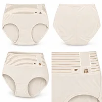 Women’s High Waist Full Coverage Stretch Briefs with Striped Waistband photo 5